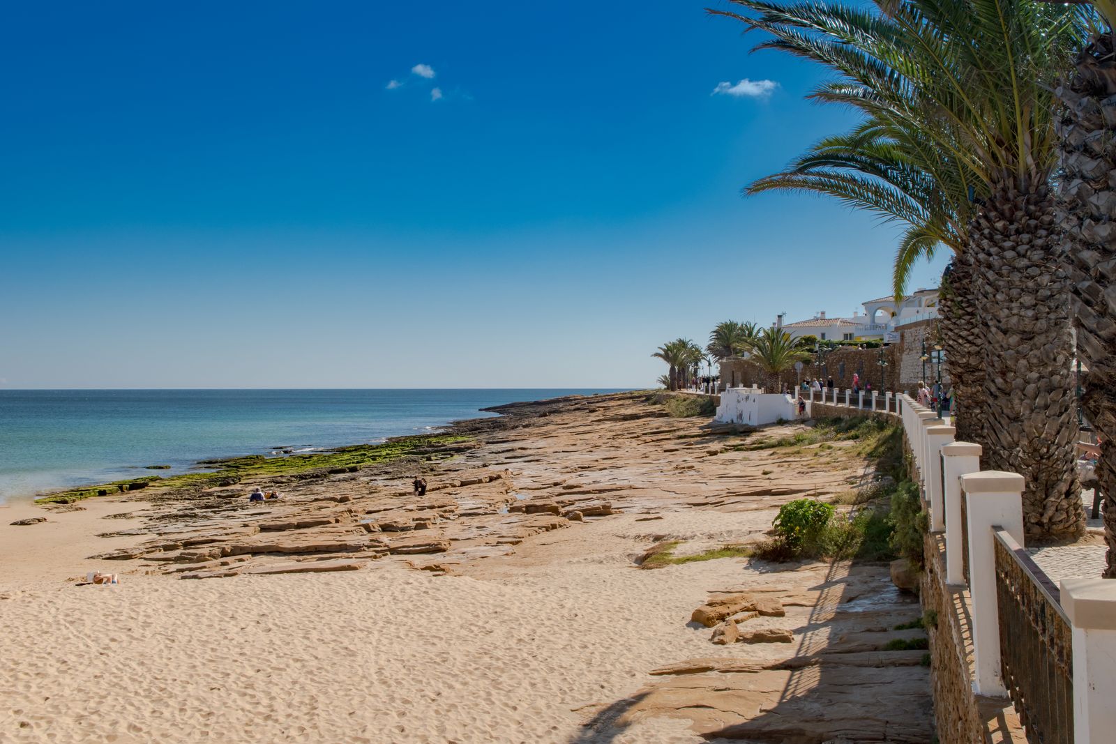 Sandy beach and palm-lined promenade in Luz